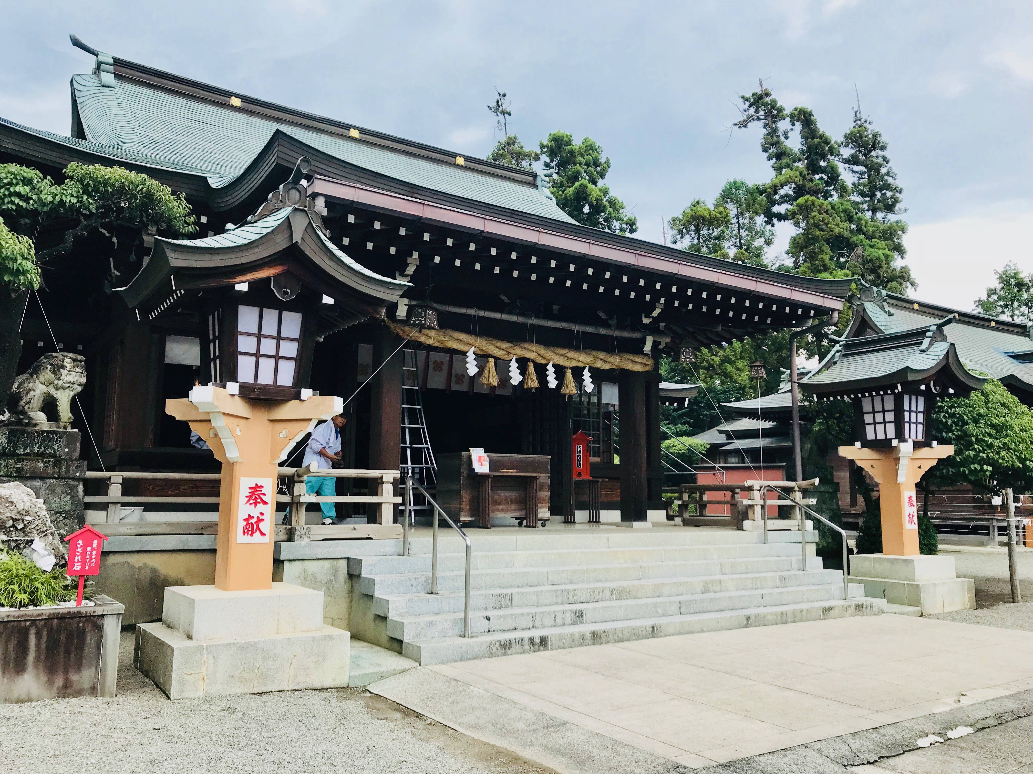 長崎市の住吉神社で美人な猫ちゃんに遭遇♪