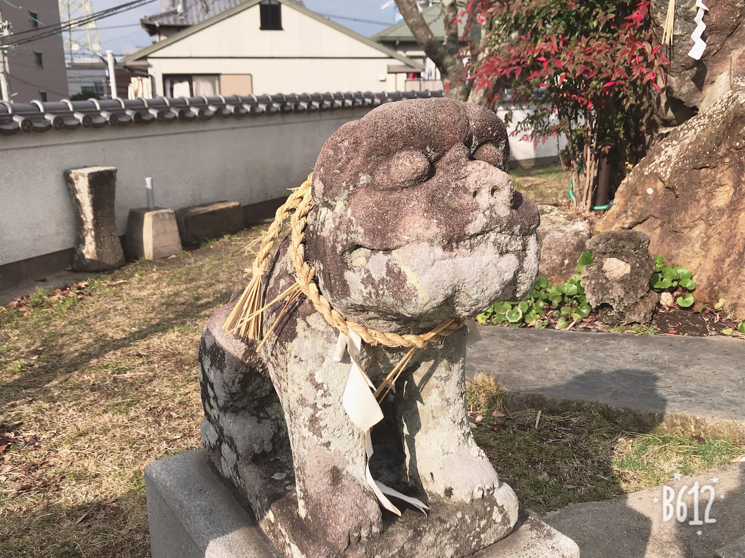 八幡神社の可愛い狛犬