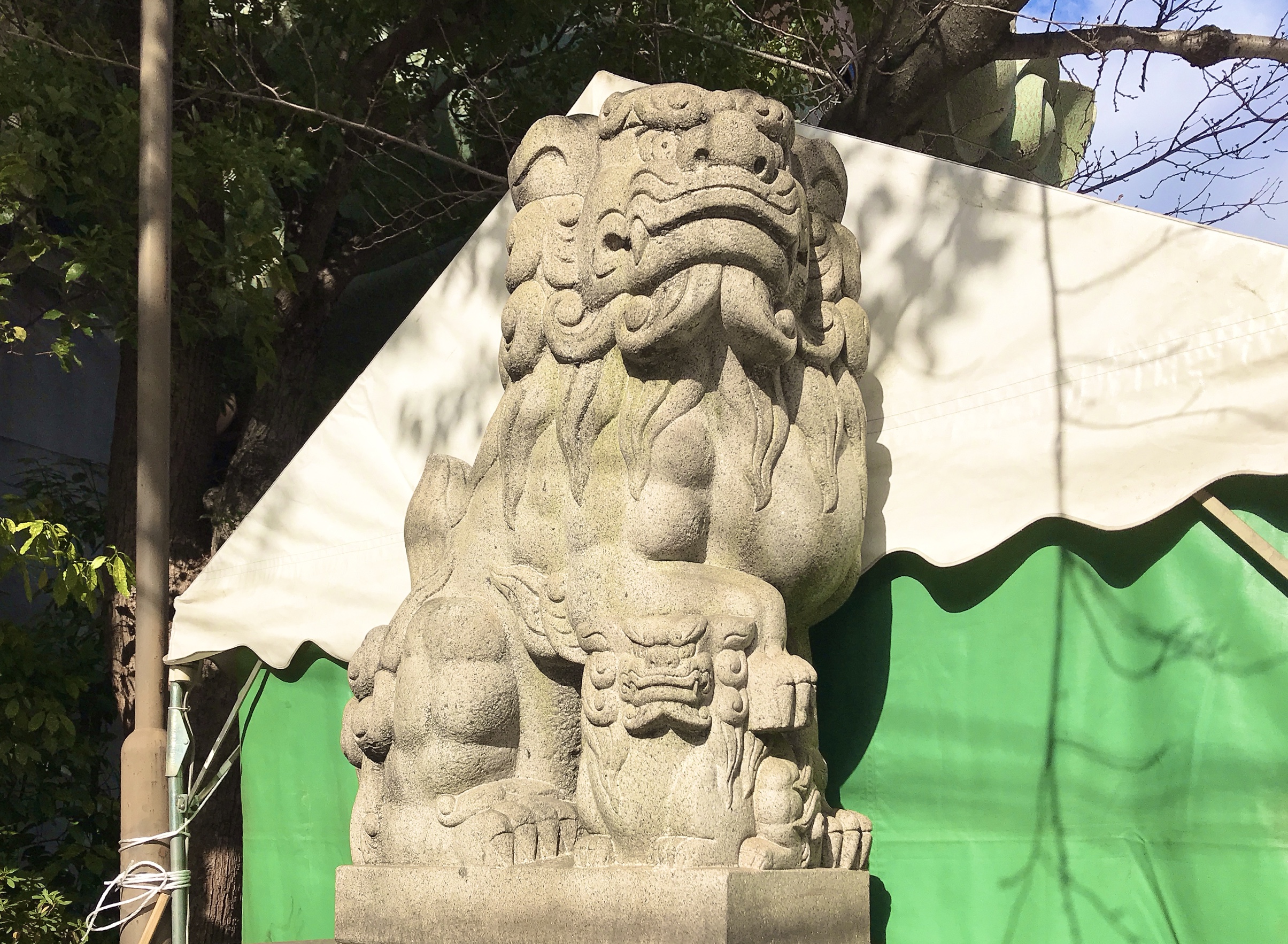 難波八坂神社の狛犬