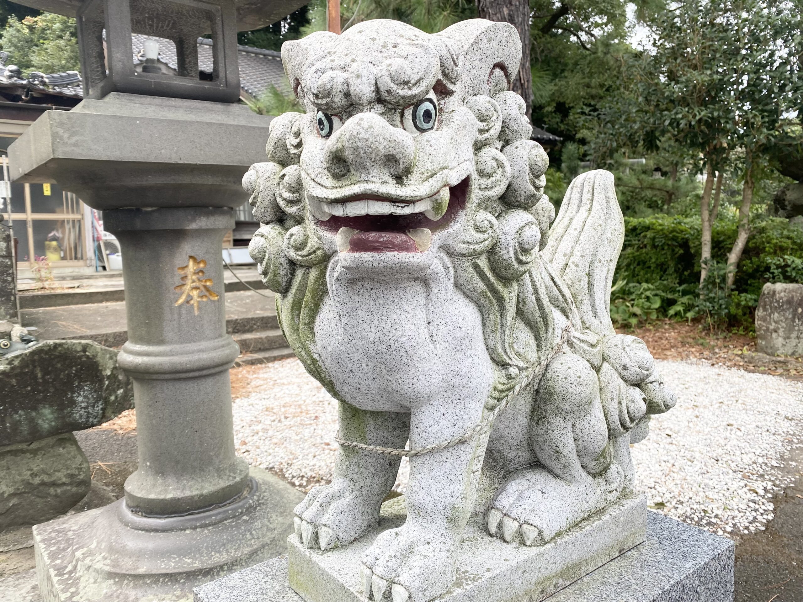 佐世保春日神社の狛犬