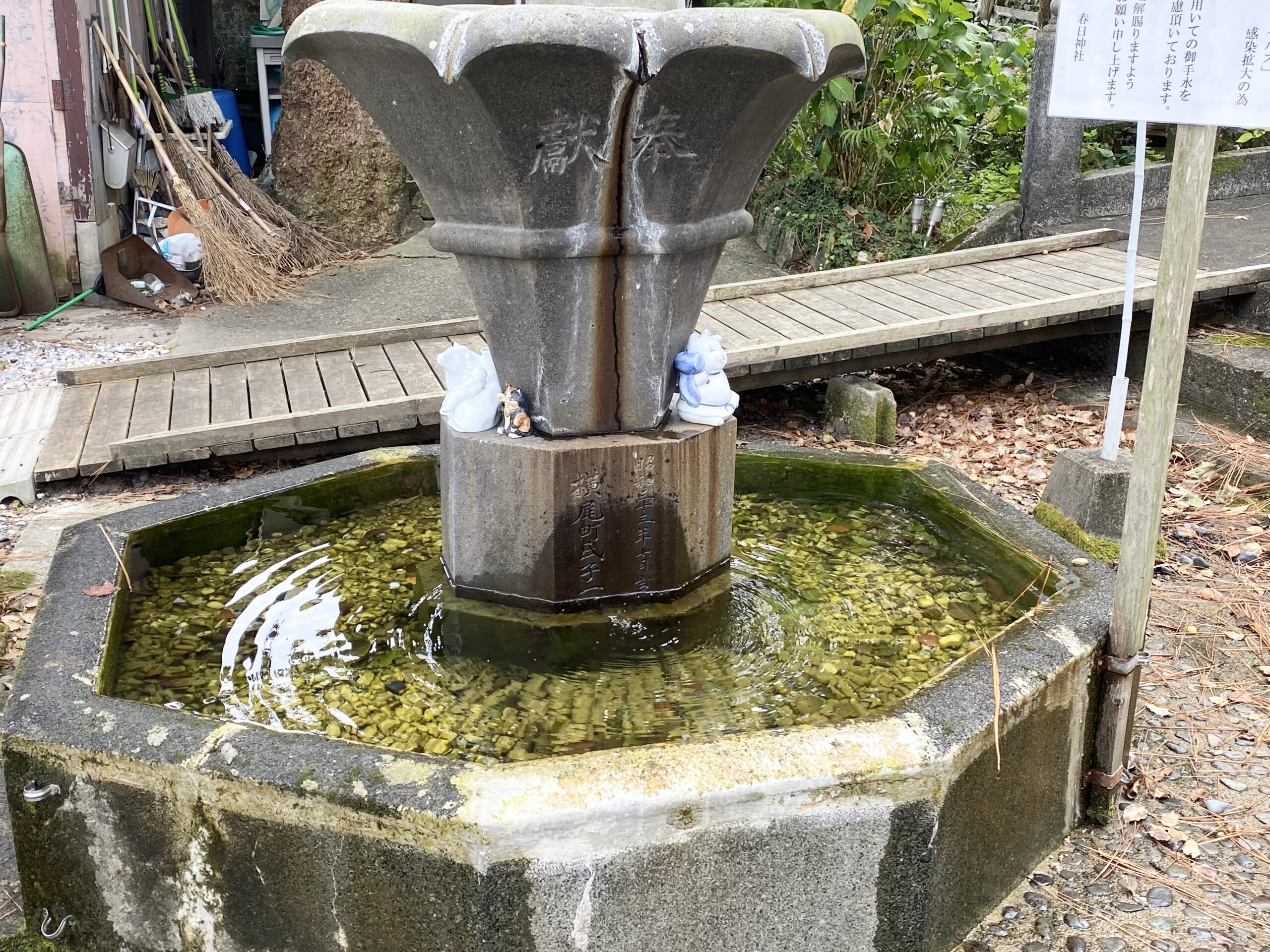 春日神社の手水舎