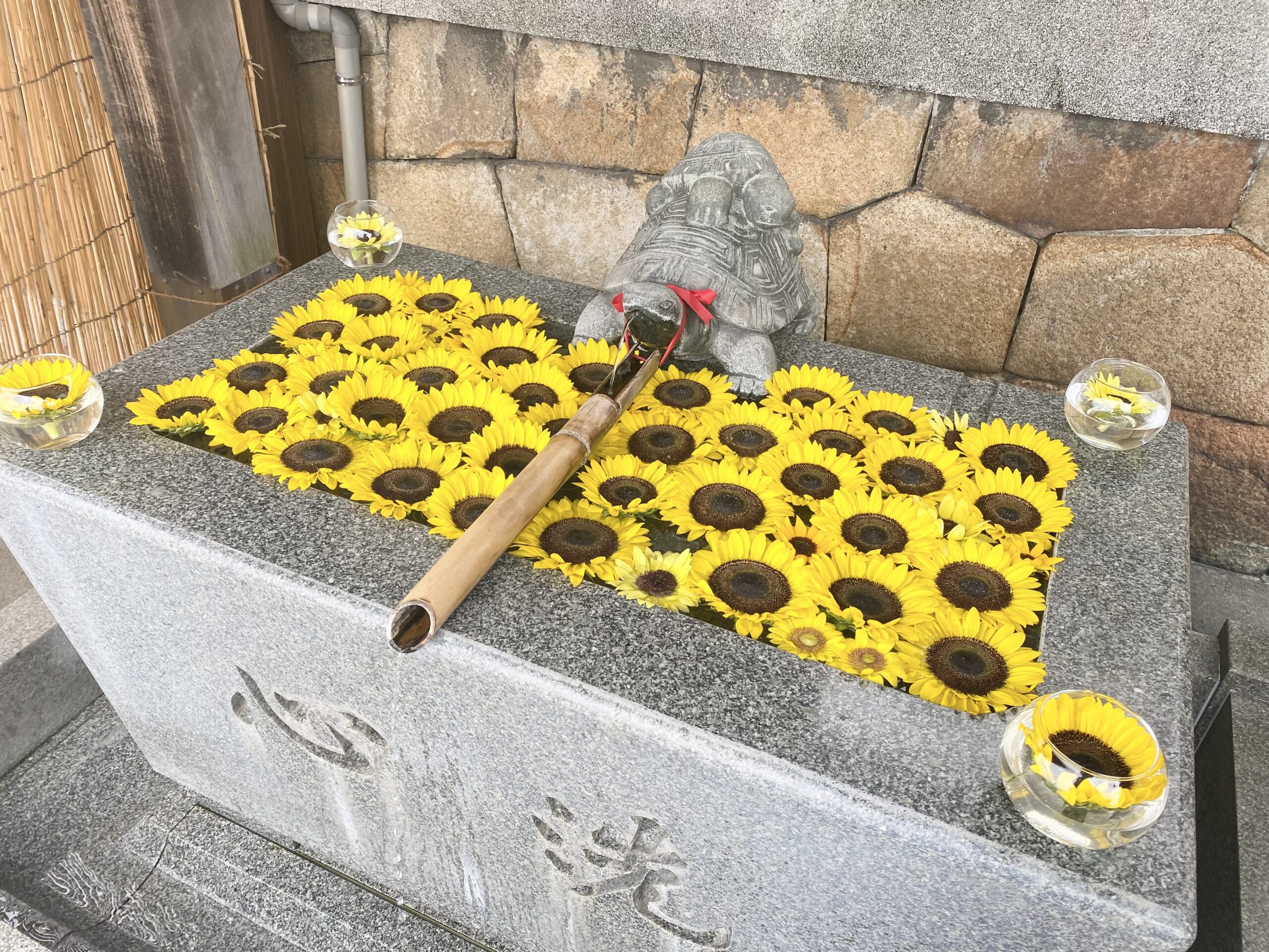 亀山八幡宮の花手水