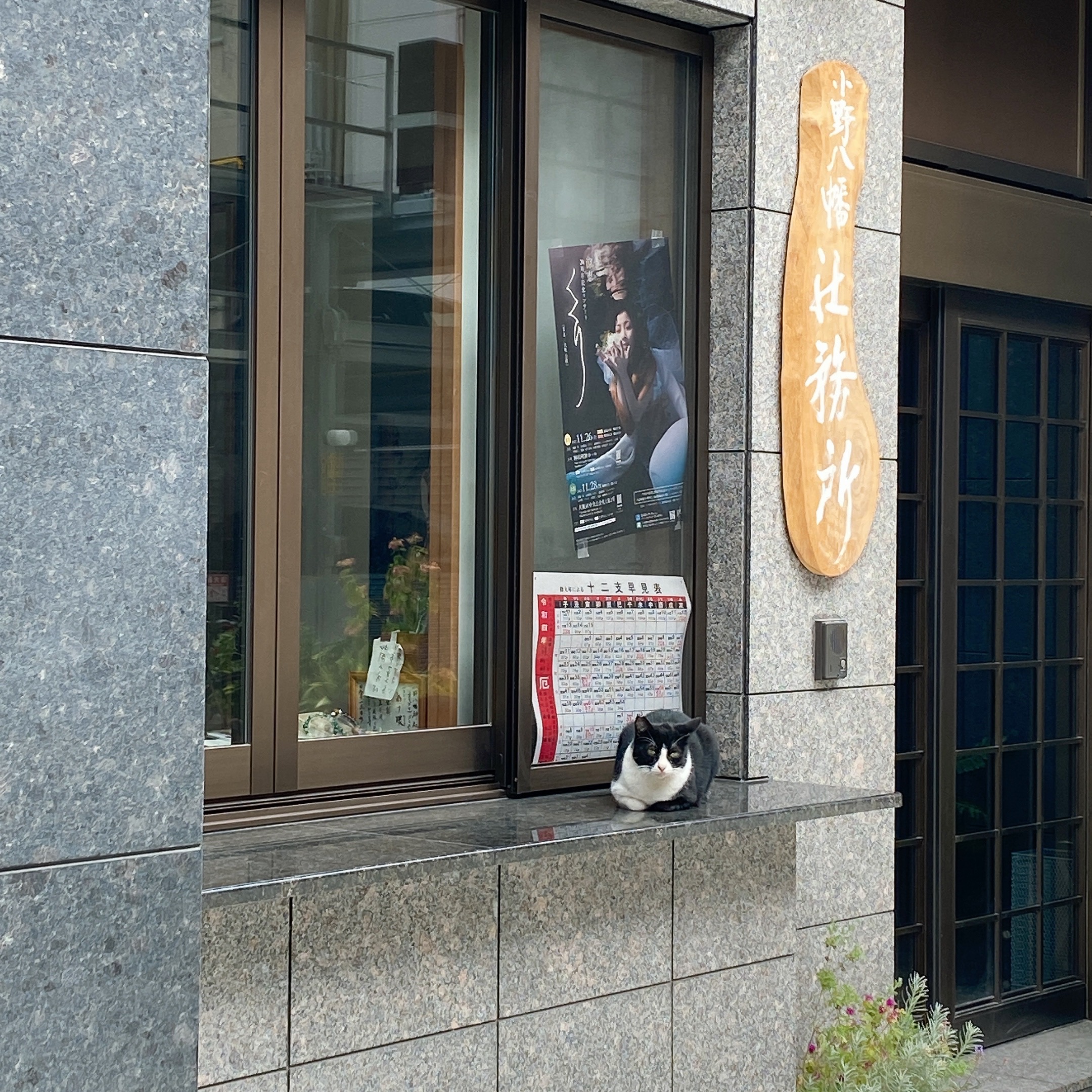 小野八幡神社の猫