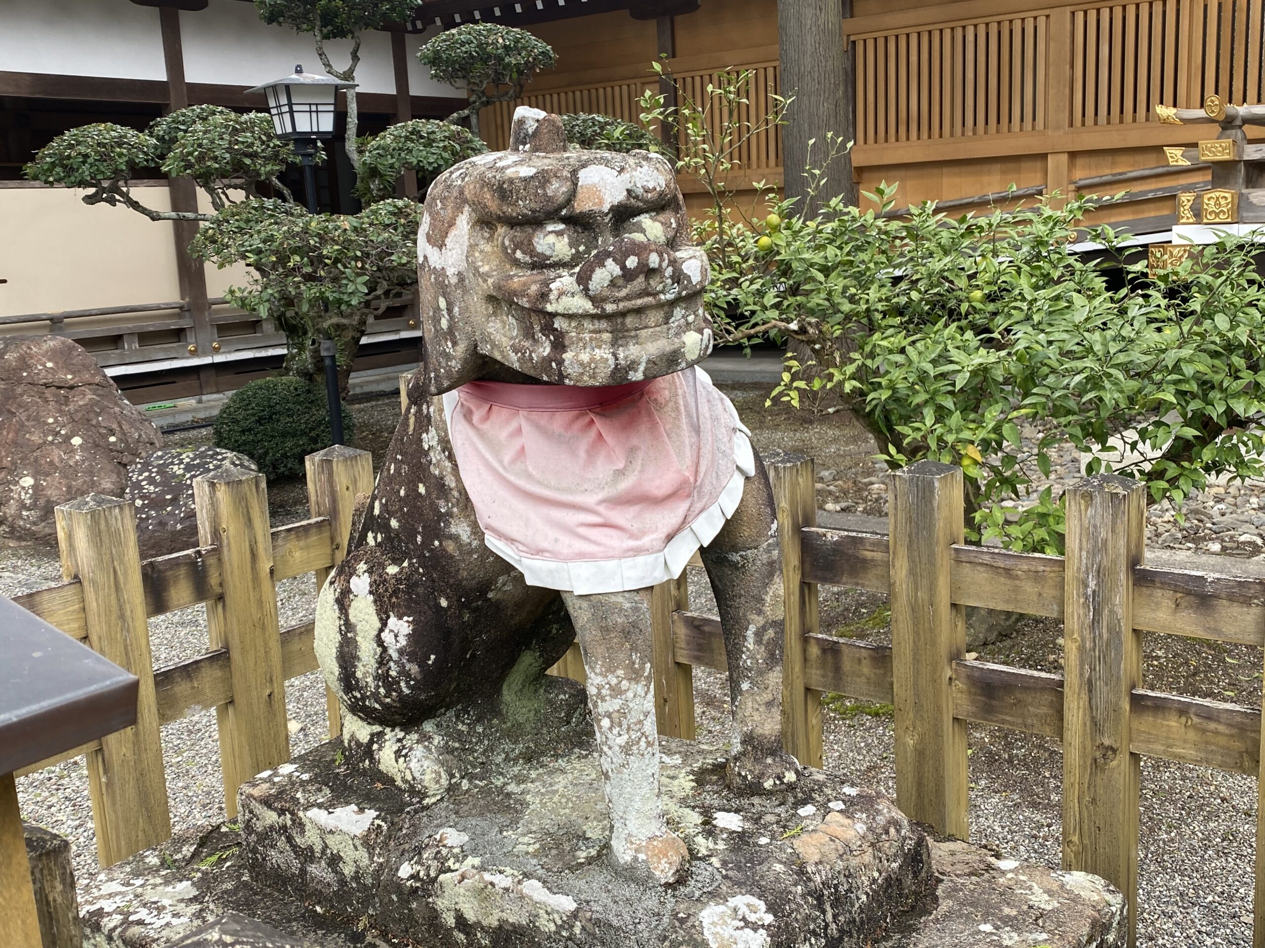大麻比古神社の狛犬