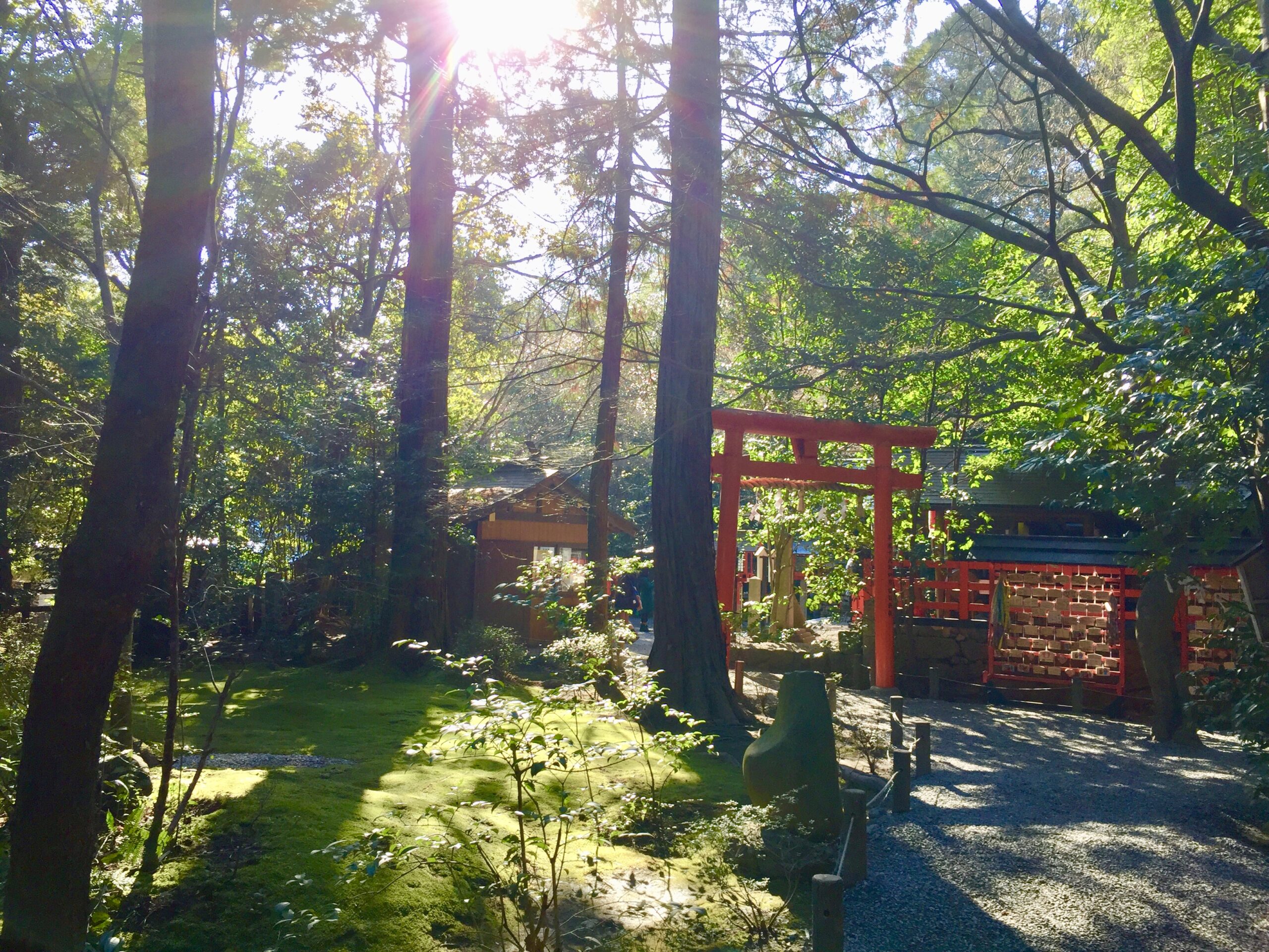 京都嵐山のパワースポットへ！縁結び・学業成就が有名な神社