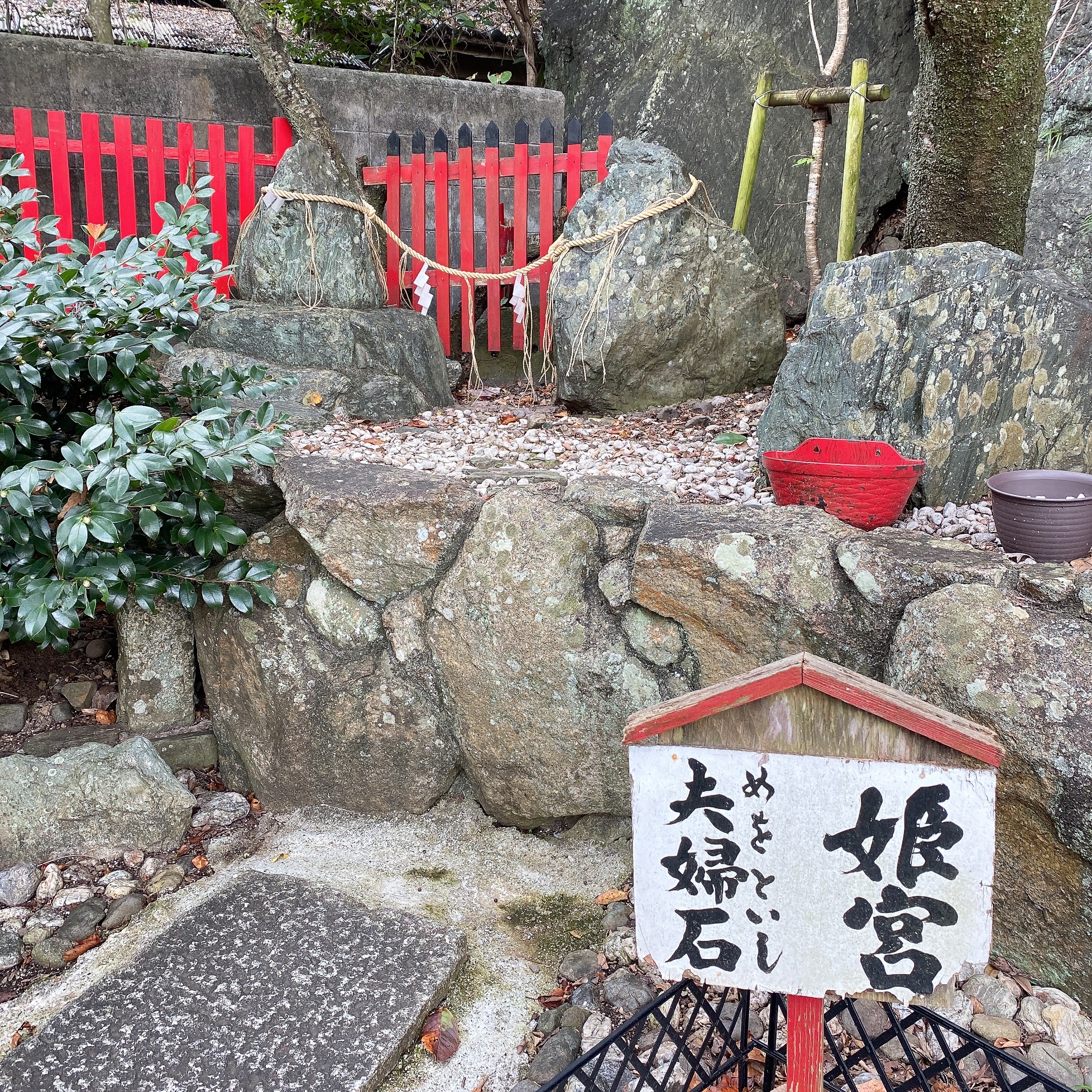 徳島で恋愛運アップ！な神社と夫婦石