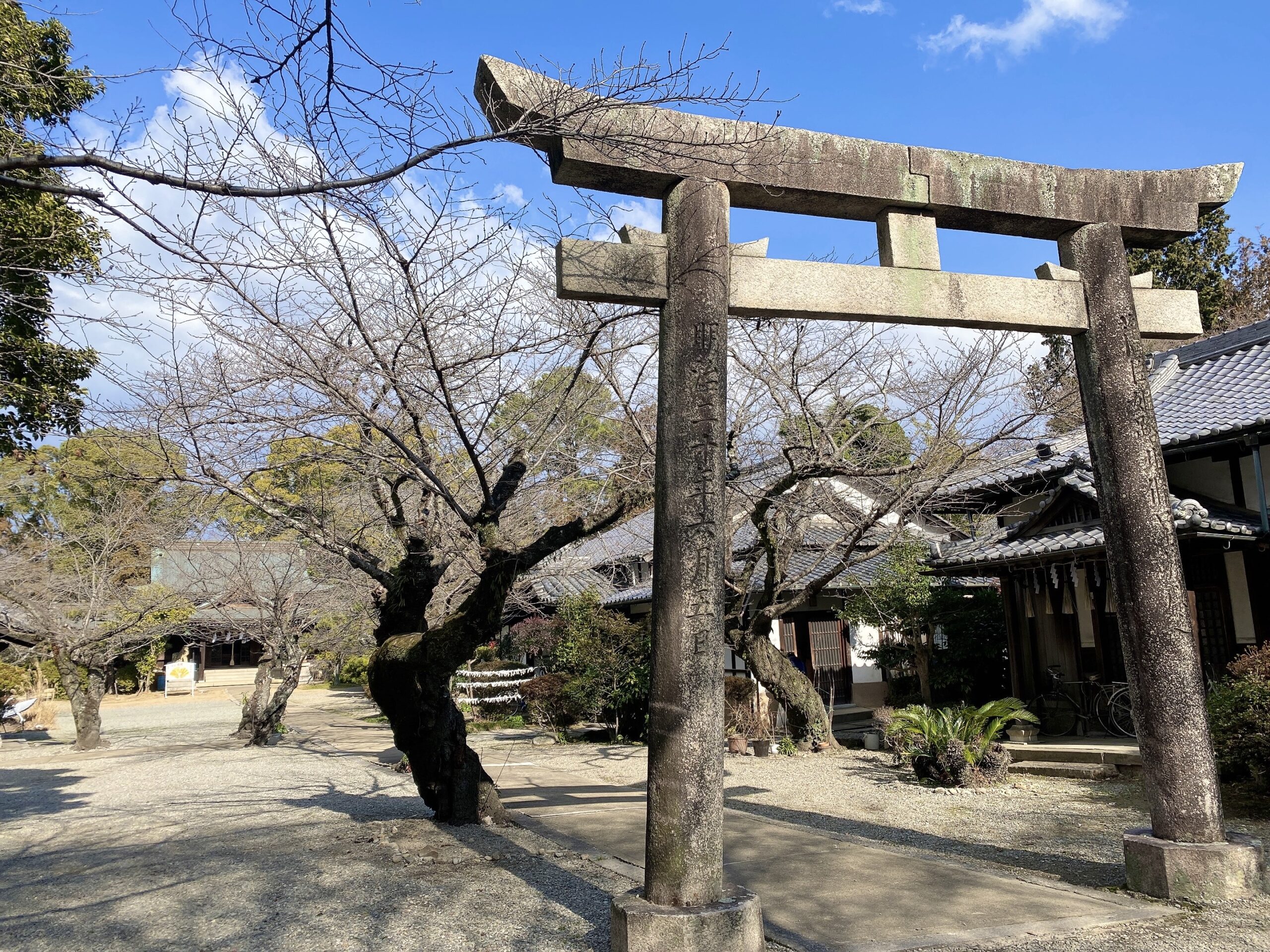 桜の名所・姫路神社