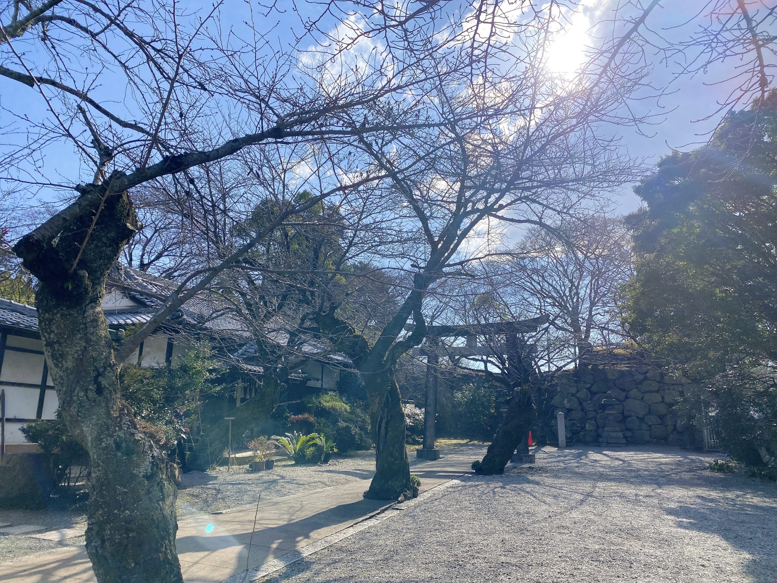 春は桜が綺麗な姫路神社