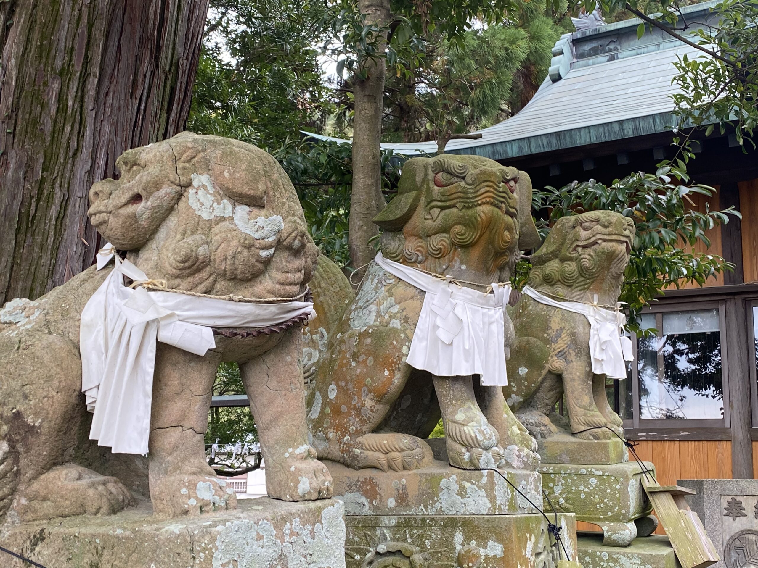 椎宮八幡神社の狛犬
