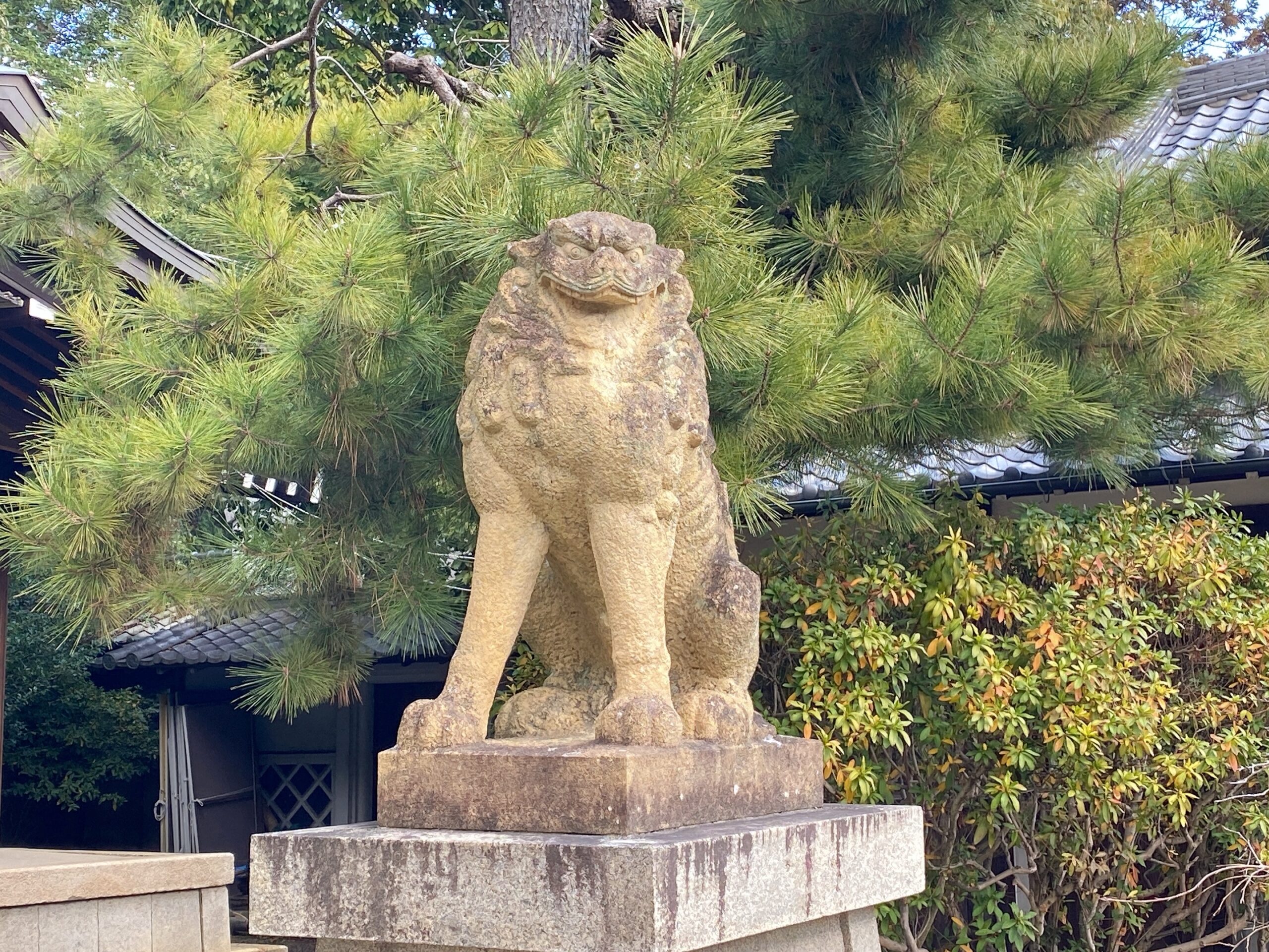 姫路神社の狛犬