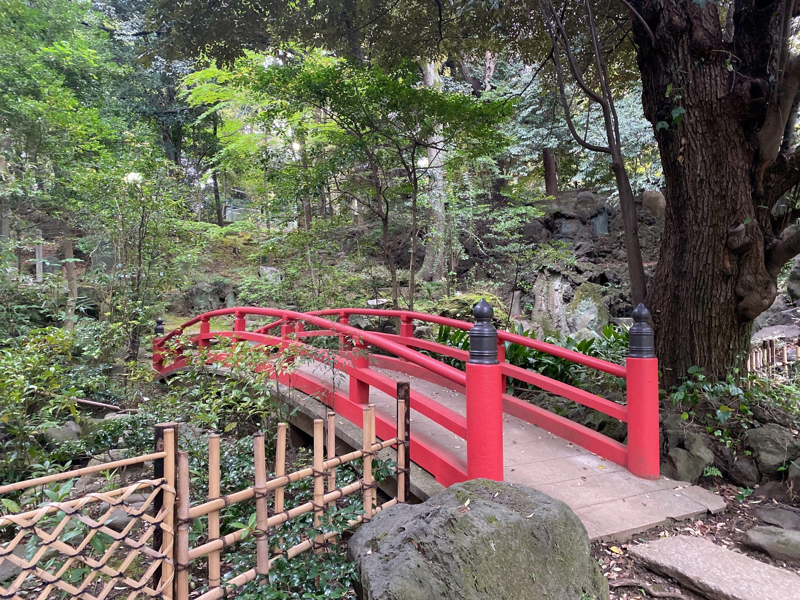 赤坂氷川神社の太鼓橋