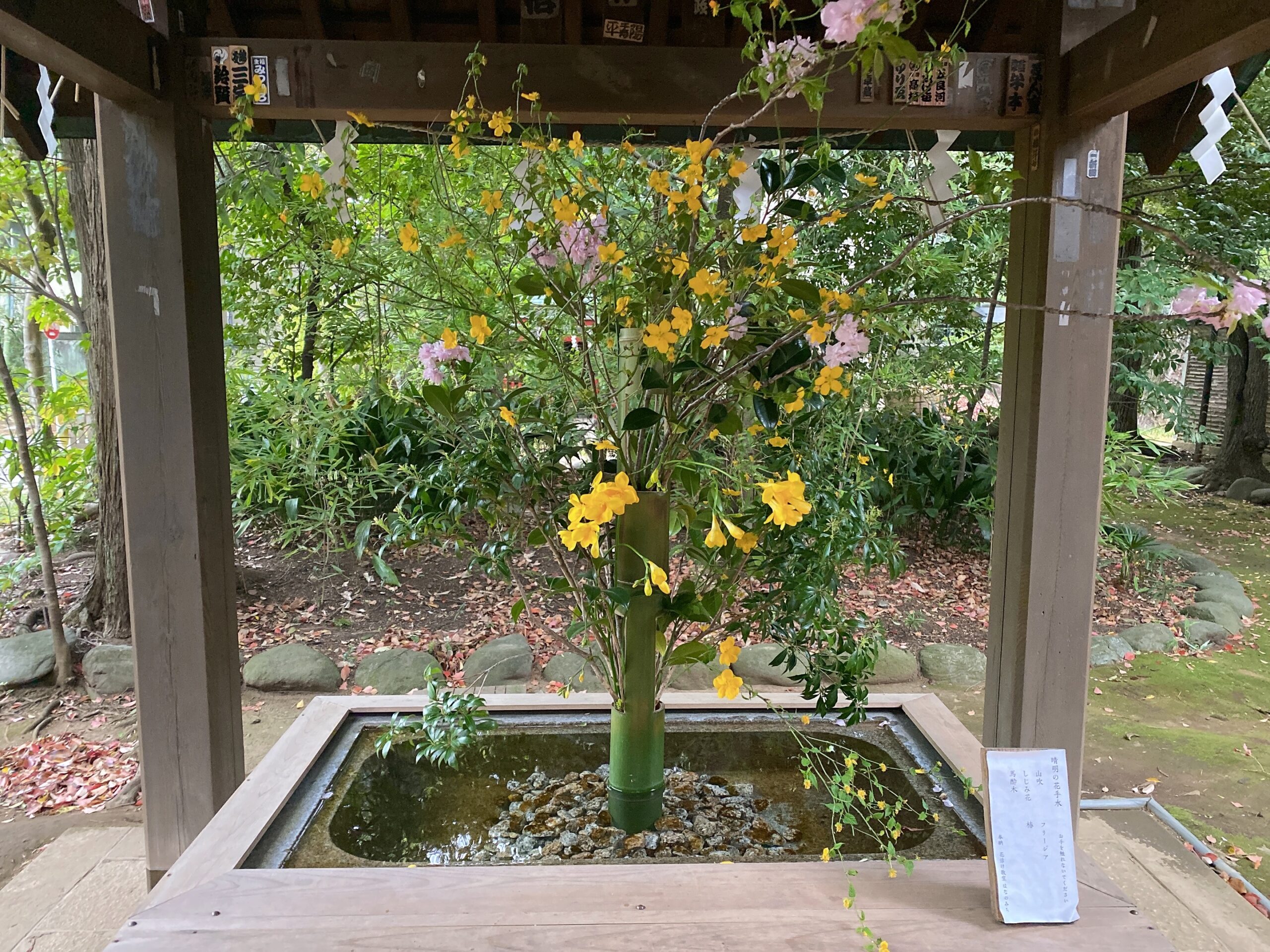 赤坂氷川神社の花手水