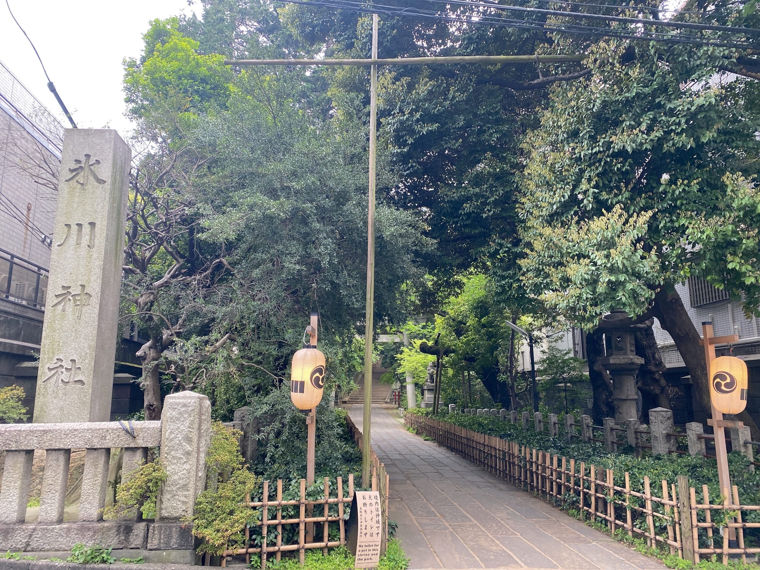 赤坂氷川神社へ